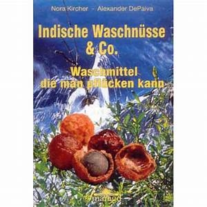 Indische Waschnüsse & Co