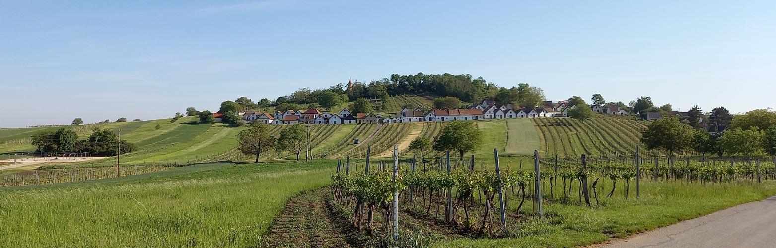 Erkunden der schönsten Kellergasse Österreichs, Galgenberg