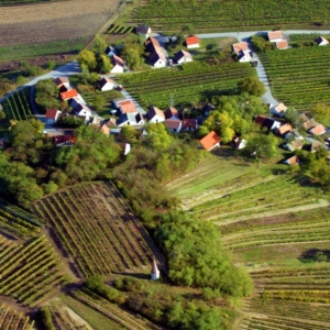 Untersetzer "Galgenberg - Flug"